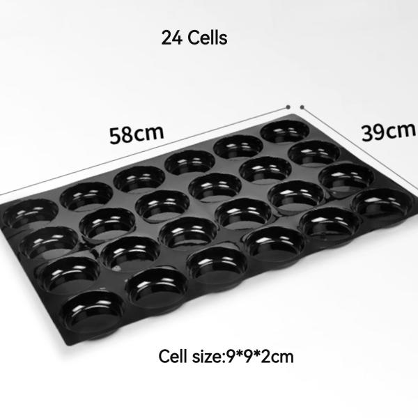 24 40 hole fruit tray plastic black PP PET display apple plastic tray