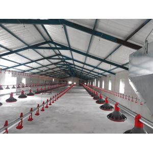 H Section Steel Commercial Chicken House Prefabricated Steel Structure