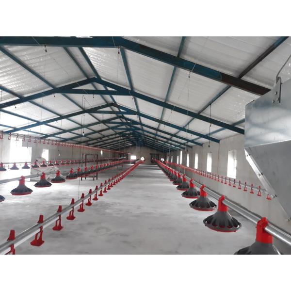 H Section Steel Commercial Chicken House Prefabricated Steel Structure