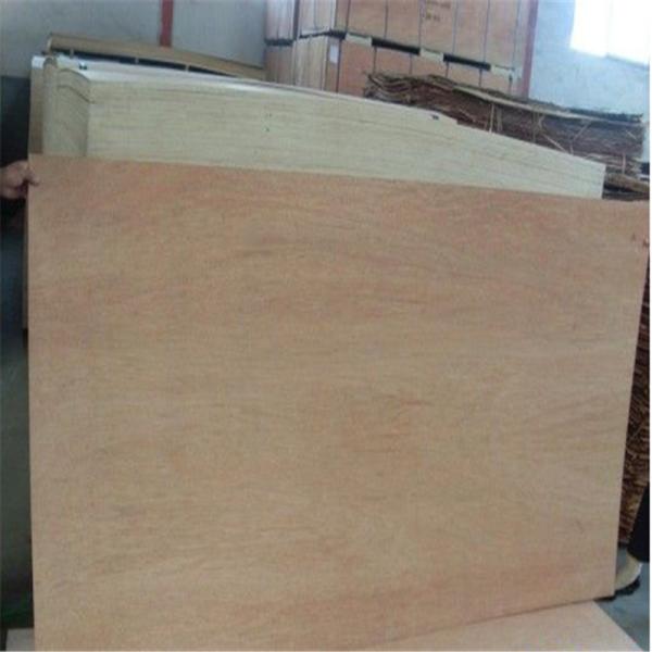 First Class WBP Phenolic 1220×2440mm Bintangor Plywood