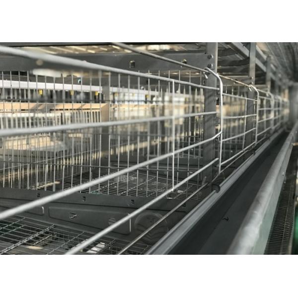 Poultry House Automatic Poultry Feeder System for chicken house