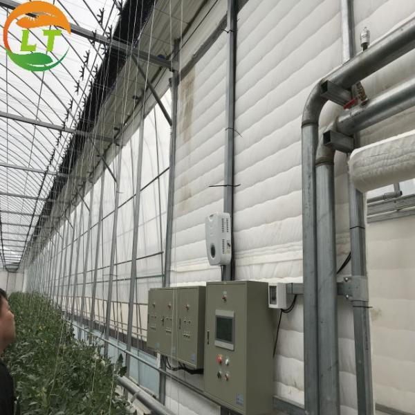 Pressure-Resistant Glass House for Large-Scale Growth of Vegetable Fruits and Flowers