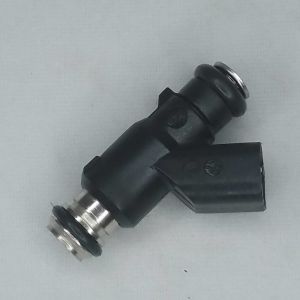 Quality DELPHI 28152059 2009 2003 Toyota Corolla Fuel Injector Replacement 1TR 2TR 3RZ 2RZ 1RZ 6AZ wholesale