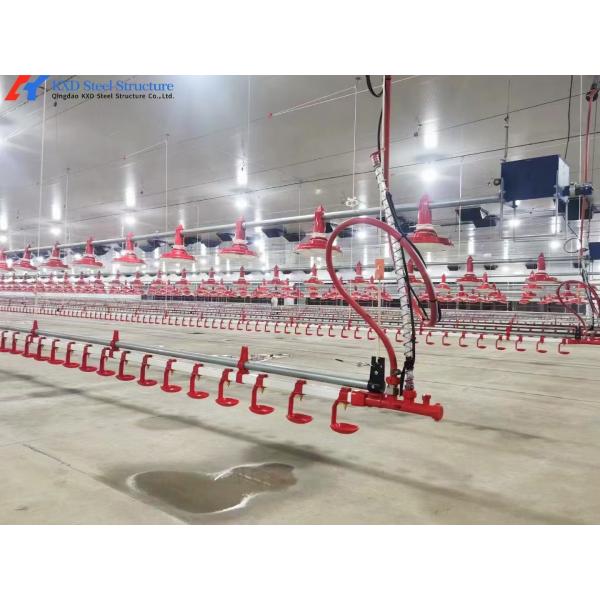 Fully Automatic Poultry Drinker , Broiler Chicken Drinker Customized