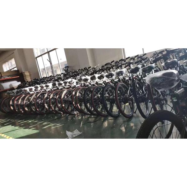 IP54 24in Electric Bike Downhill Bike 4-6 Hours Full Charging With 60 N.M Torque