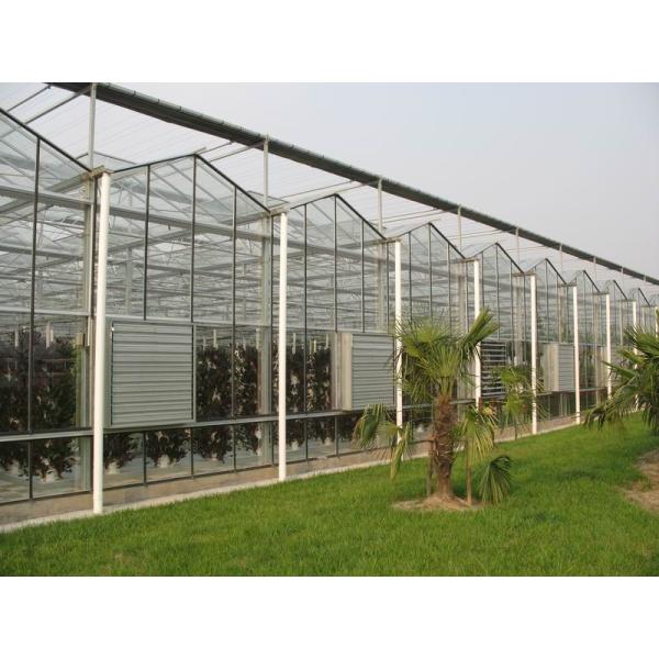 Vegetable Fruits Flowers Tomatoes Hot Galvanizing Aluminum Steel Structure Greenhouse