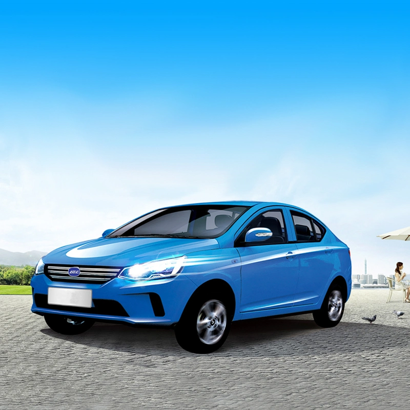 Raysince Good Quality New Energy Electric Vehicle Wholesales Cheap Price Electric Vehicle for Family Car