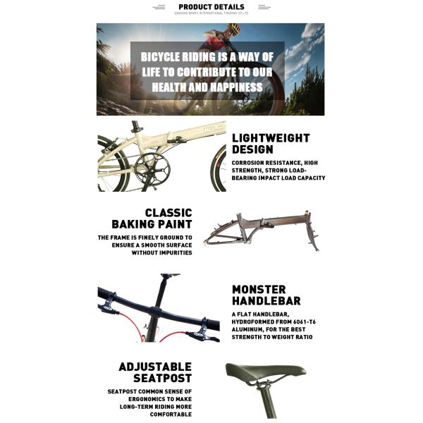 Racing Lightweight Folding Bike 20inch 9 Speed Master V with Aluminum Alloy Fork