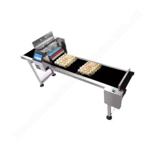 Buy cheap Automatic Electric Egg Processing Machine Coding Carton Printing 60kg 100w from wholesalers