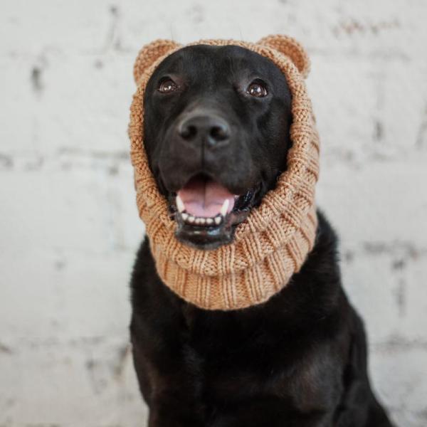 Y-Z Pet Tops Bear Dog's Ear Hood Designer Winter Knitted Snood Large Dog Clothes Hat