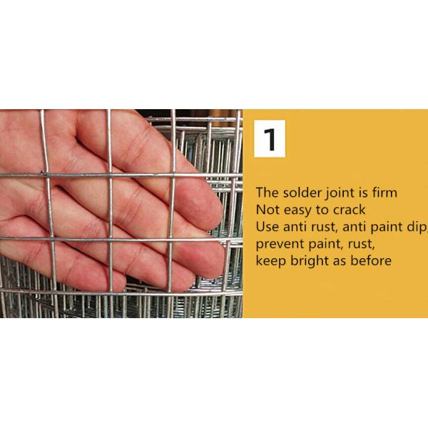 Garden Galvanized Pvc Coated Wire Mesh 30m Length 6 Foot Wire Fence Roll