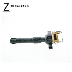 Quality 12131748017 12V BMW E36 Car Ignition Coil wholesale