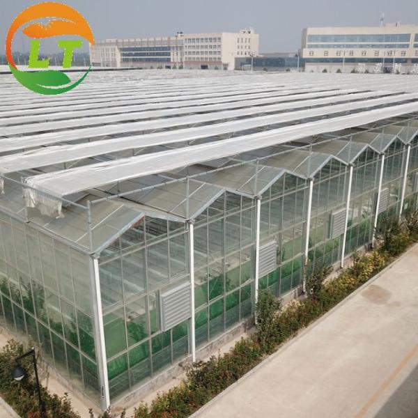 Pressure-Resistant Glass House for Large-Scale Growth of Vegetable Fruits and Flowers