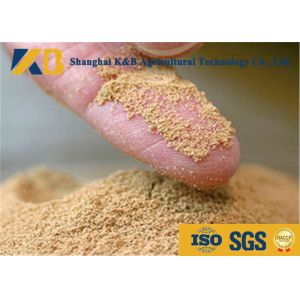 Quality Antioxidants Added Fish Powder Fertilizer , Sickness Resistant Fish Meal Protein wholesale