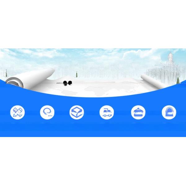 2014-2002 Toyota Tundra Auto Plastic Leather Wheel Fender Flare with Latest Design