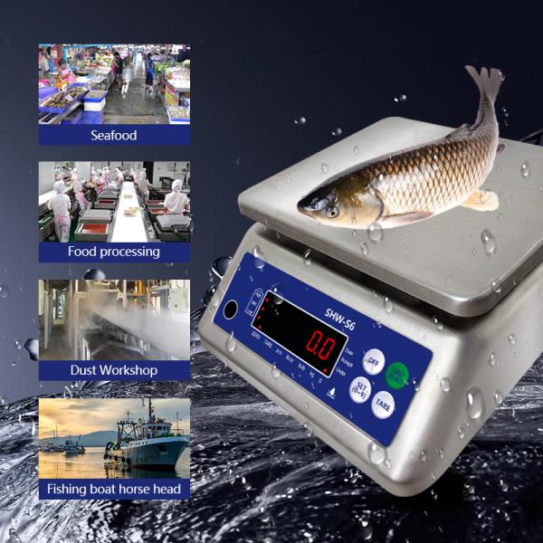 AV220V/50HZ Waterproof Double Screen Electronic Scale 30kg for Customized OBM Support