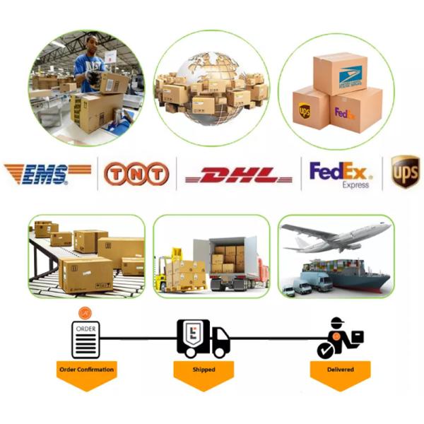 Sinotruk Parts Front Brake Chamber Wg9000360101