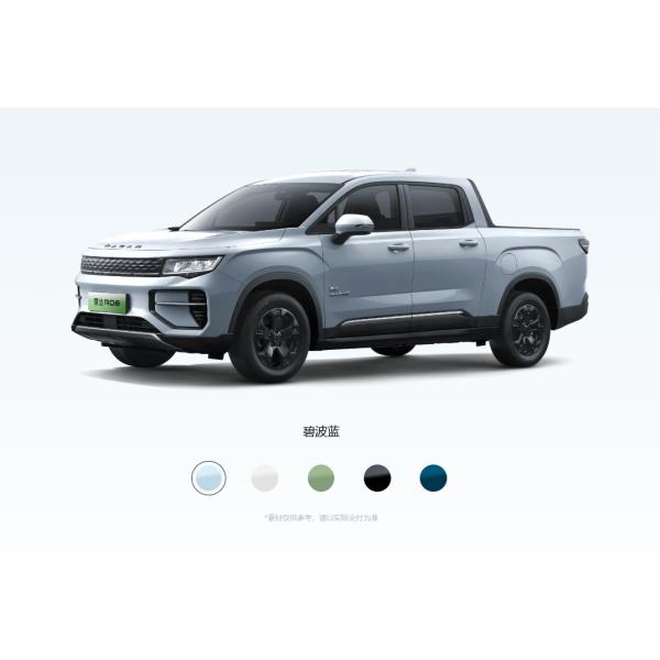 Commercial Chinese Full Electric Pickup Car EV Fast Charging 4WD RADAR RD6