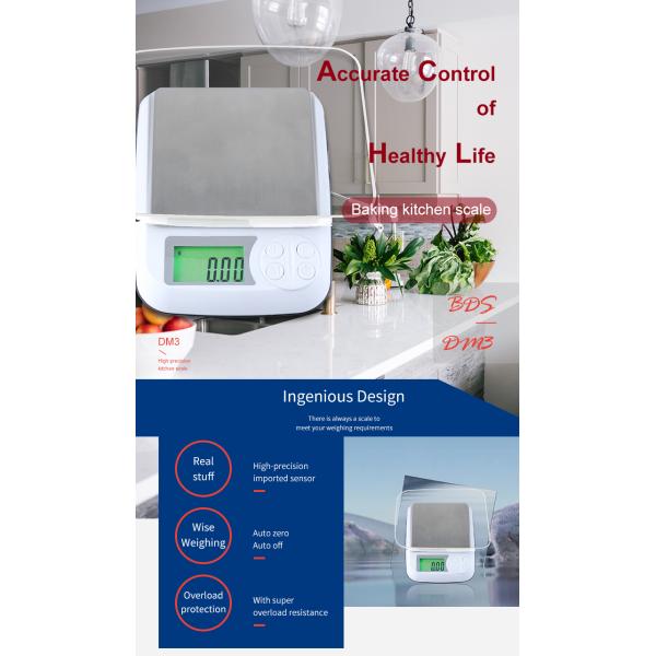 Easy Maintenance Stainless Steel Accuracy Coffee Bean Bakery Digital Food Scale Tea Scale Culinary Scale Weighing