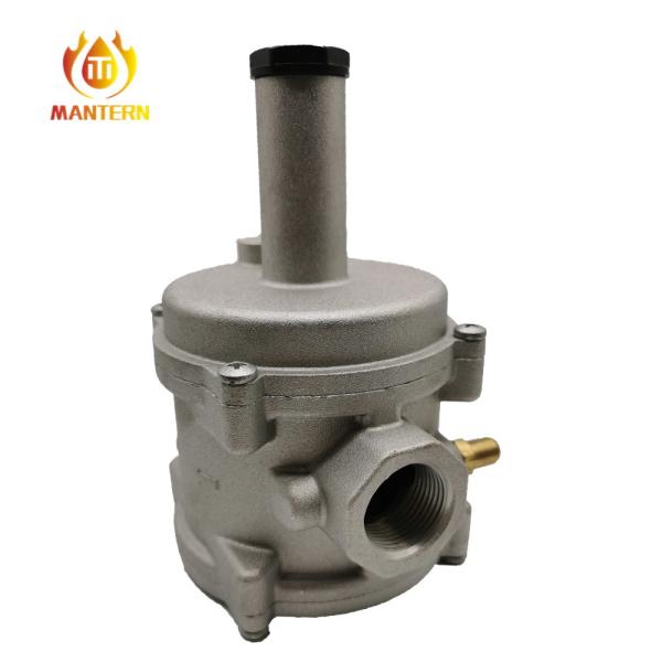 DN15 DN20 DN25 Natural Gas Filter Gas Pressure Regulator OEM / ODM Acceptable