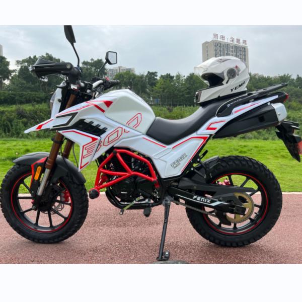 Powerful Street Legal Dirt Bike Motorcycle Electric Starting CDI Ignition