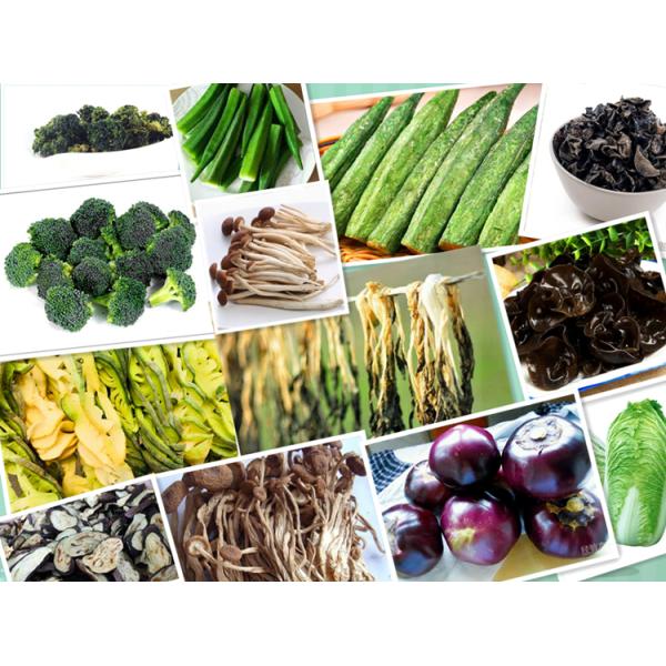 Ce Aprove Industrial Vegetable Drying Equipment/Garlic/Onion Dehydrator Machine