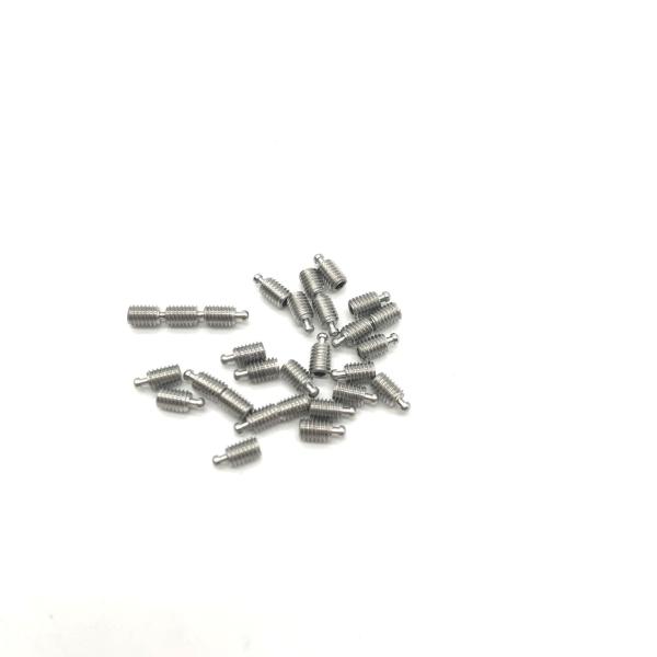 304 Stainless Steel Grinding Fixture Custom Screws M2.5*4 304 Stainless Steel Screws M2 ANSI Standard Electrolytic Polishing