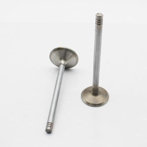 21896344 20758481 Diesel Engine Valve D7E For Volvo EC210 EC210B