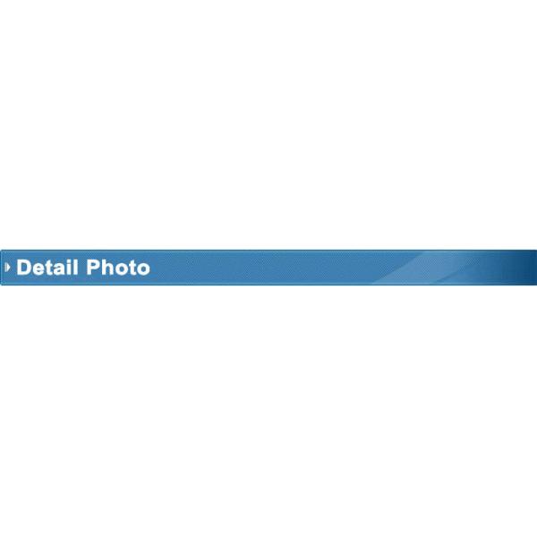 GE RAB6-D 4D Curved Array Probe 2-8MHz for Voluson E9