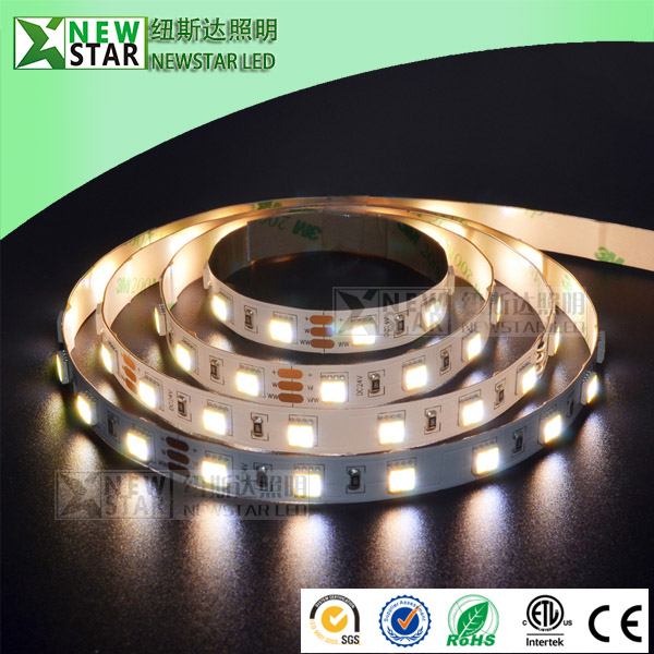 CCT 2in1 5050 2 chips in one 12v 24v led CCT flexible strip WW+W dimmable dual white CCT adjustable led strip lights
