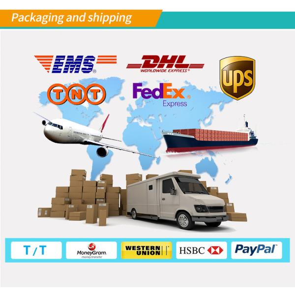 201/304/316L Stainless Steel Ball Valve Manufacturers for Straight-through Valve Mirror Polished Surface Valves Spare Parts