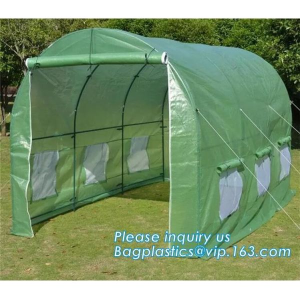 PE protective film customized green house for agriculture anti frost,Venlo Glass Agricultural Green house, SUPPLIES, PAC