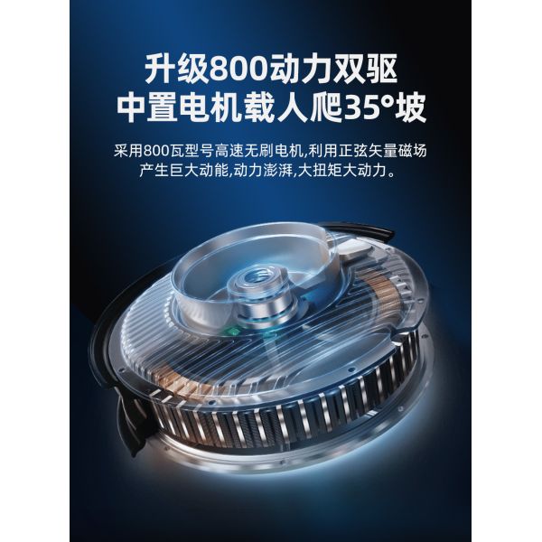 PET TRICYCLE ELECTRIC MINI HOME PICK UP CHILDREN SMALL WOMEN WITH CHILDREN WALK LITHIUM ELECTRIC BATTERY CAR