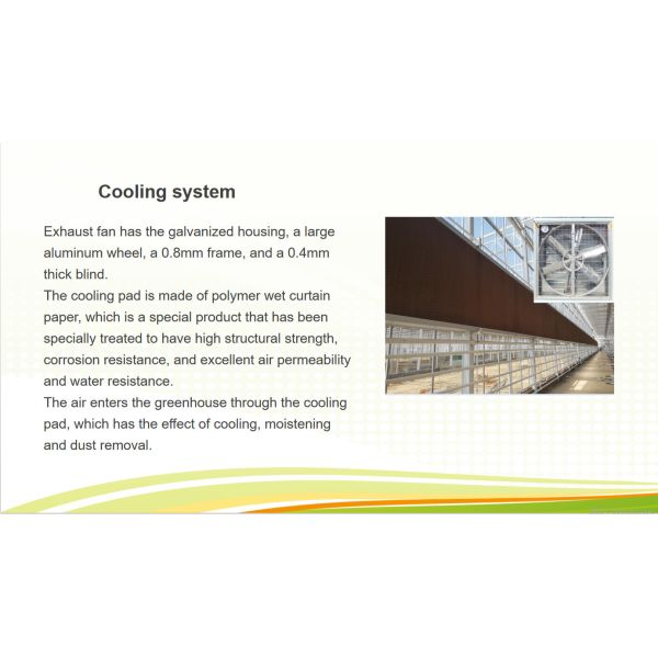 New Products Ultraviolet-Proof Farming Venlo stype greenhouse with hydroponics systems