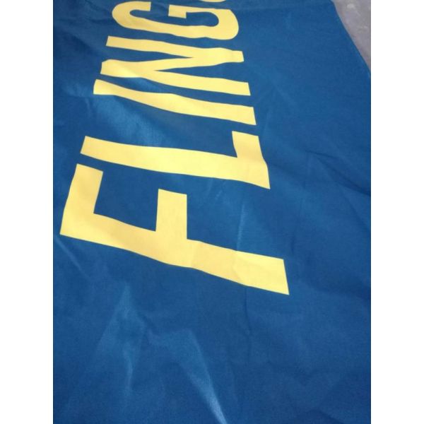 Outside Advertising Custom Beach Flags Seasonal Expo Sublimation wind feather flags