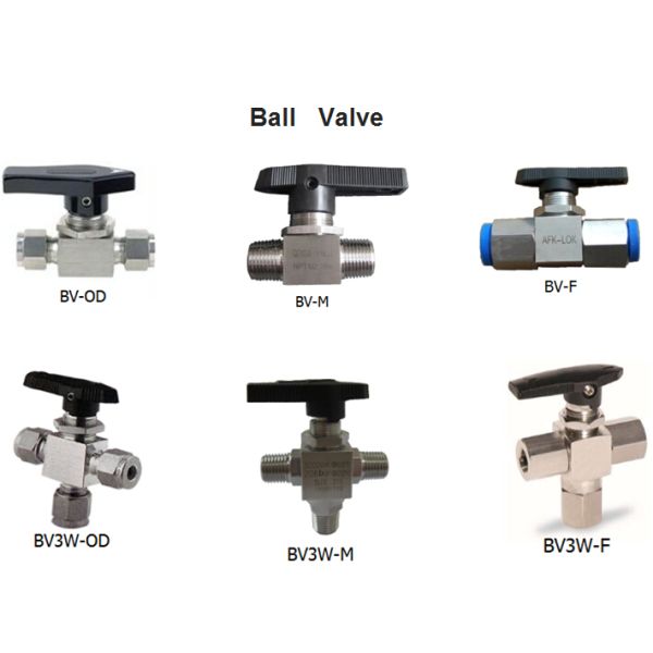 MNPT FNPT Natural Gas Ball Valve , Tube OD Ferrule Connected Stainless Gate Valve