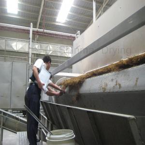 Quality Automatic Steam Heating Conveyor Belt Dryer Seaweed Belt Dryer Conveyor wholesale