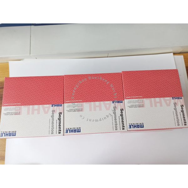 Original Mahle Engine Parts D13 03873NO Piston Ring For VOLVO Excavator Spare Parts