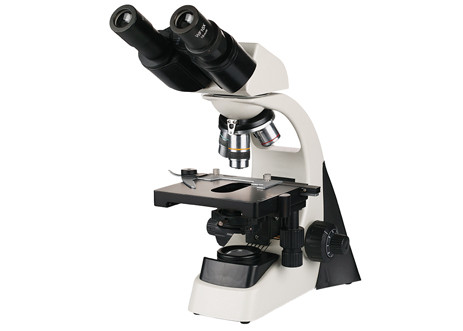 Binocular Digital Microscope With Screen 40X 1000X Phase Contrast Light Microscope