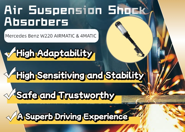 Factory-Direct Sales Rear Air Suspension Shock for Mercedes S-Class W220 2WD 4Matic 2203205013