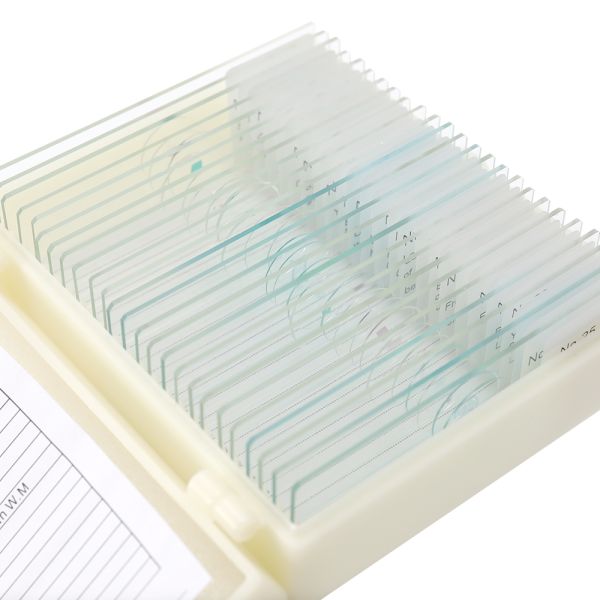 Lab Research Plastic Box 25pcs Pre Prepared Microscope Slides