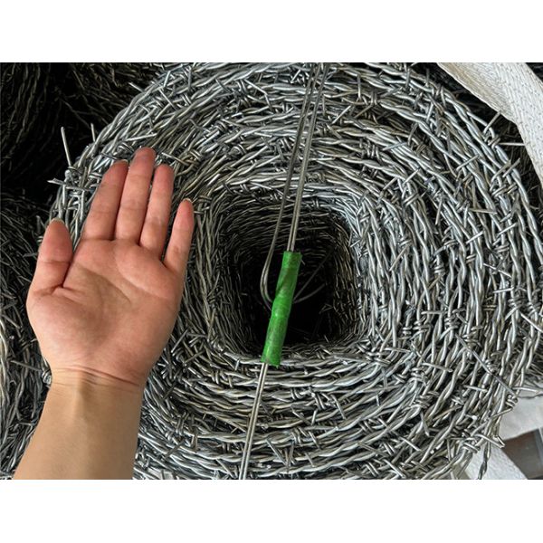 Electro-Galvanized Security Barbed Wire For Isolating And Protecting