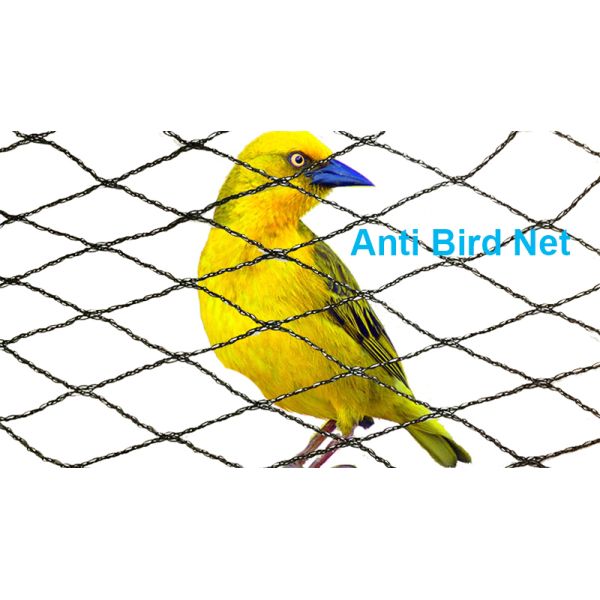 Durable Anti-Bird Trapping HDPE Netting PE Vineyard New Material Bee-Free For