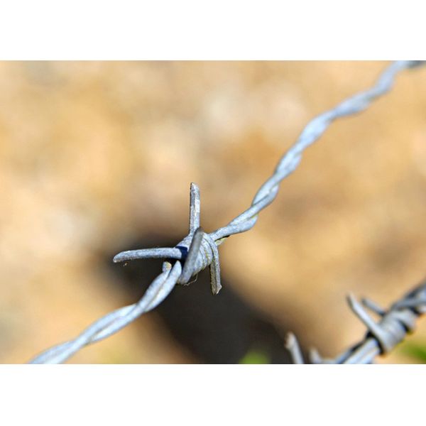 Garden Anti-Theft Single Strand Hot Dipped Galvanized Barbed Wire Price Per Roll