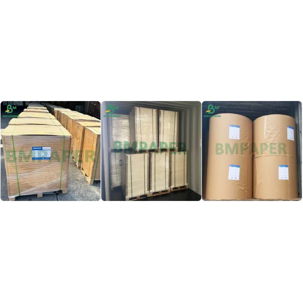 High Porosity Brown Color Coffee Filter Paper Roll 102cm Width Waterproof Brown Paper 55gsm For Fruit Protection Bags Plant Covers