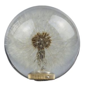 Gear shift knob with real dandelion inside