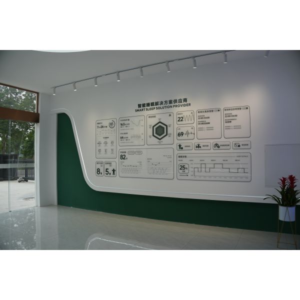 Metal King Size Electric Adjustable Bed With Wireless Remote Control