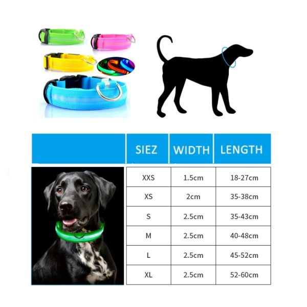 Hundehalsband Lighted Dog Collars Rechargeable Nylon XS XL LED Pet Collar