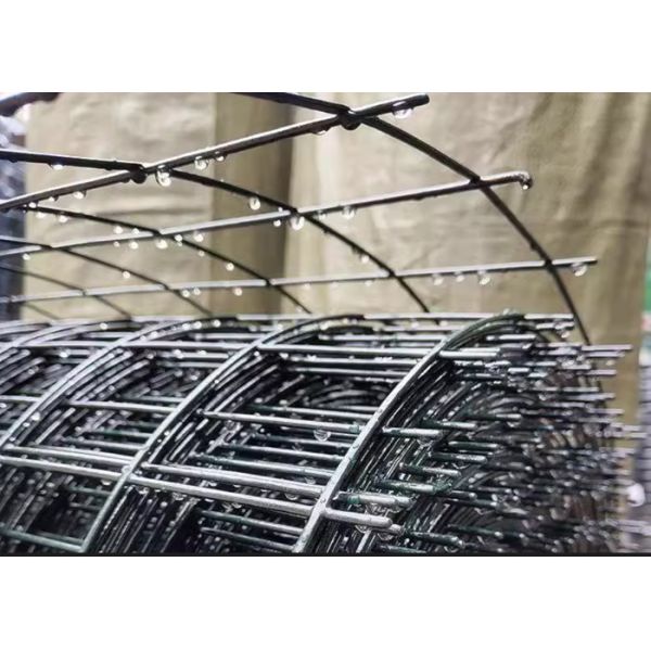 Customized Welded Wire Mesh With Pvc Coated And Welding Fixing Type