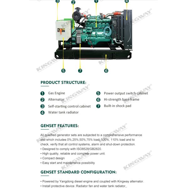 CE 50HZ 1500RPM 60HZ 1800RPM 200KVA/160KW good quality heavy fuel oil gas operated electric generators